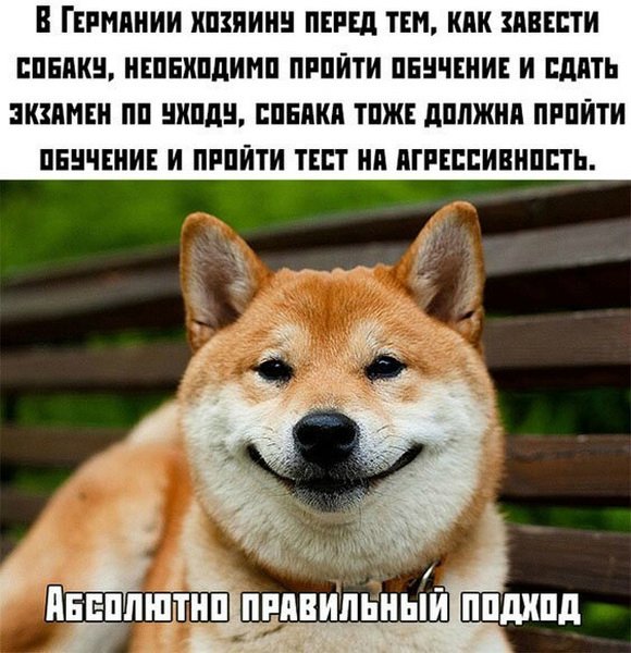 — Я же просила одну бутылку купить! — Одной не было! анекдоты,веселые картинки,приколы,юмор
