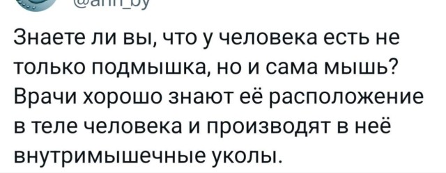 Весёлые картинки для настроения: «Когда спала лицом в подушку»  