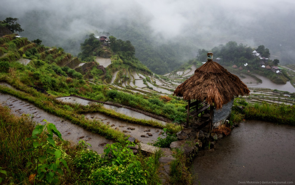 Рисовые террасы Банауэ мир,пейзажи,сельское хозяйство,Филиппины