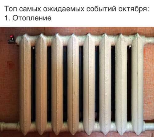 Свежие анекдоты для всех Свежие анекдоты для всех