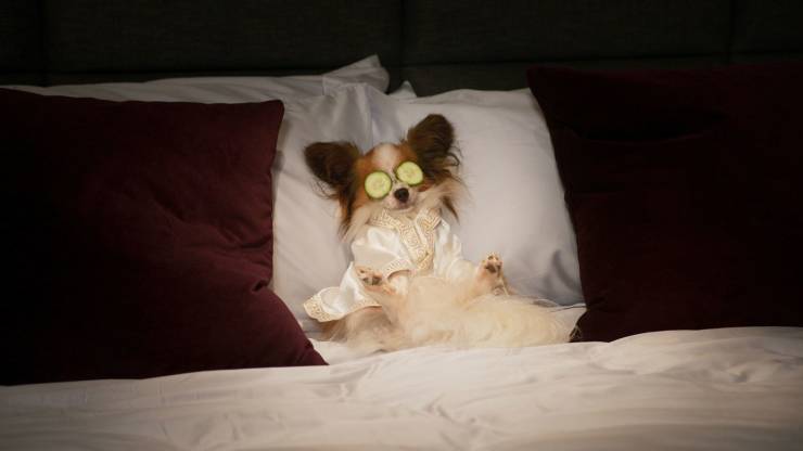 Подборка прикольных картинок Подборка прикольных картинок приколы,смешные картинки,юмор