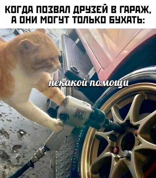 Новый сборник прикольных мемов 