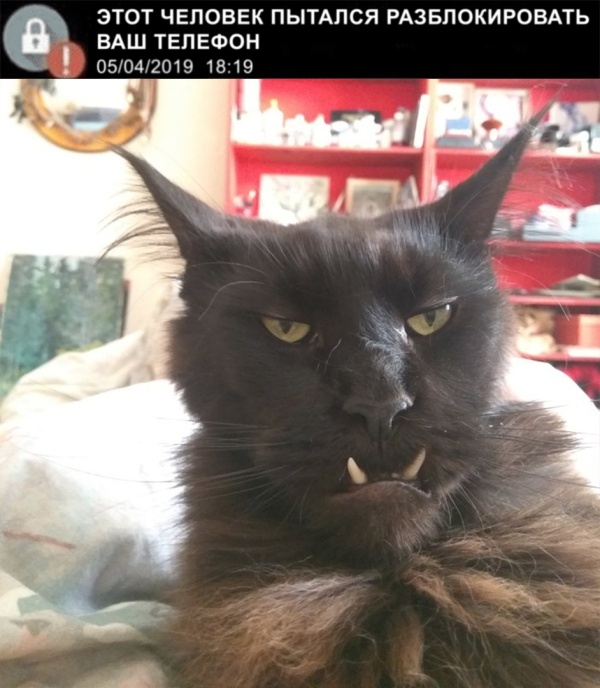 Подборка картинок Подборка картинок смешные картинки