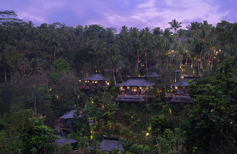 Удивительные существа из глубин океана Удивительные существа из глубин океана Путешествия,фото