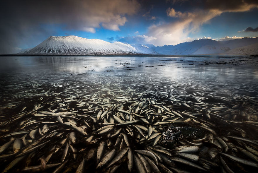 Северное сияние, ледники и пещеры: Исландия глазами фотографа Эреза Маромпа