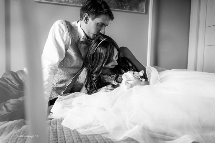 Когда пушистые комочки урчат и радуются Когда пушистые комочки урчат и радуются