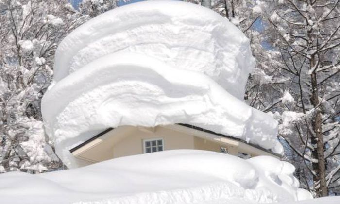 Подборка картинок. Дневной выпуск (56 фото)