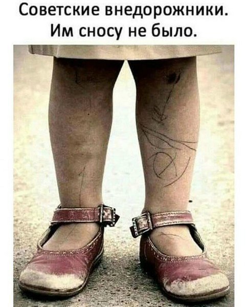 — Я же просила одну бутылку купить! — Одной не было! анекдоты,веселые картинки,приколы,юмор