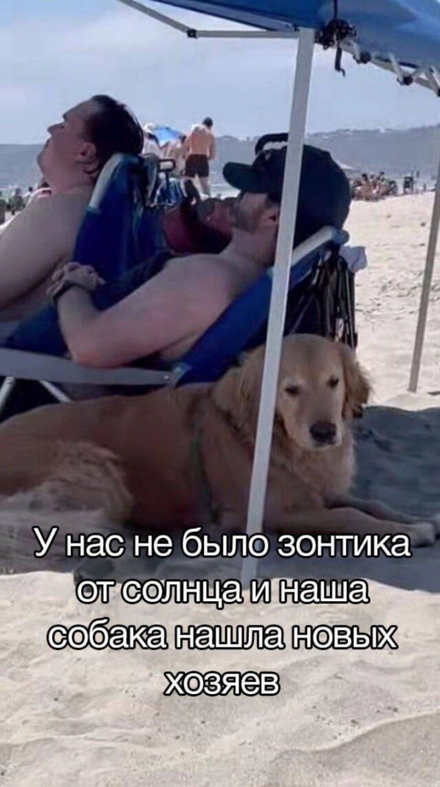 Новый сборник прикольных мемов 