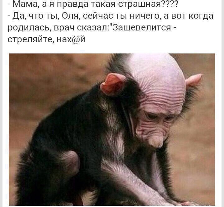 Всякая всячина демотиваторы, прикол, юмор