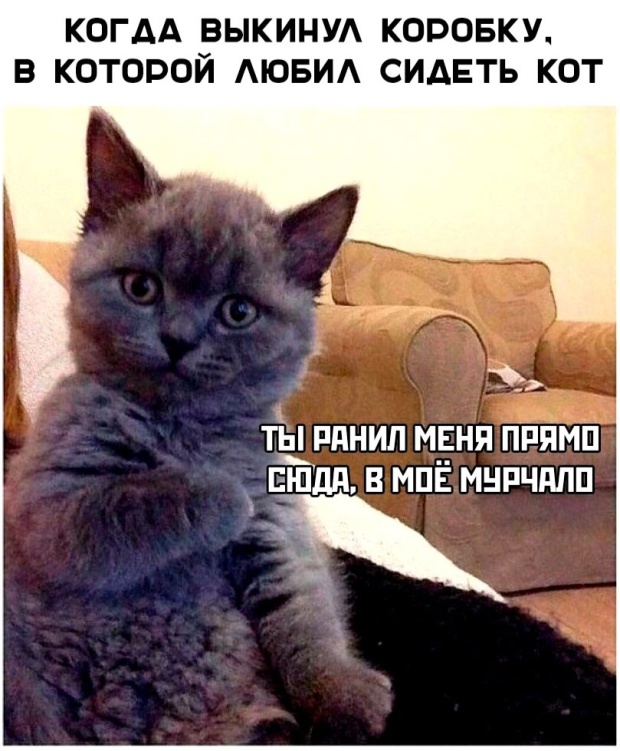 Подборка картинок Подборка картинок смешные картинки