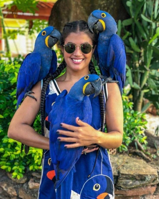 Подборка прикольных картинок  смешные картинки