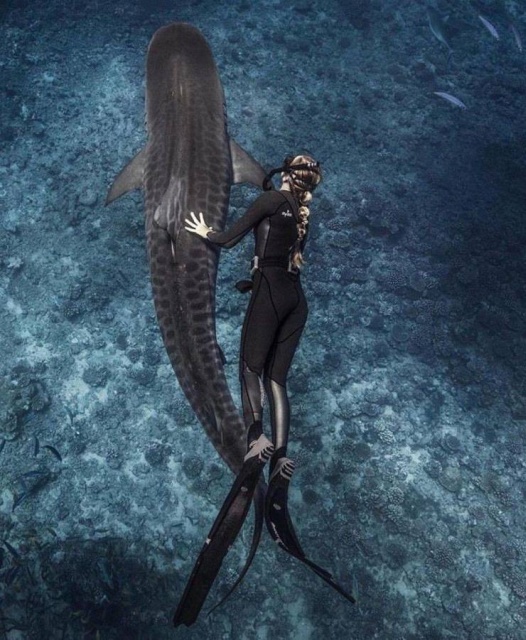 Подборка прикольных и забавных фотографий Подборка прикольных и забавных фотографий