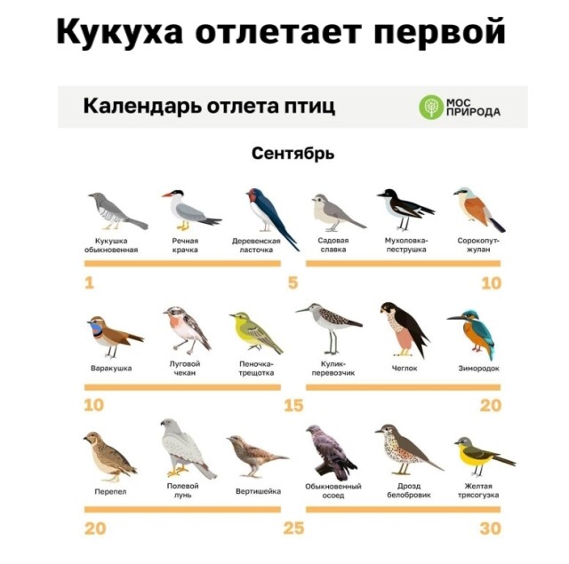 Новый сборник прикольных мемов 