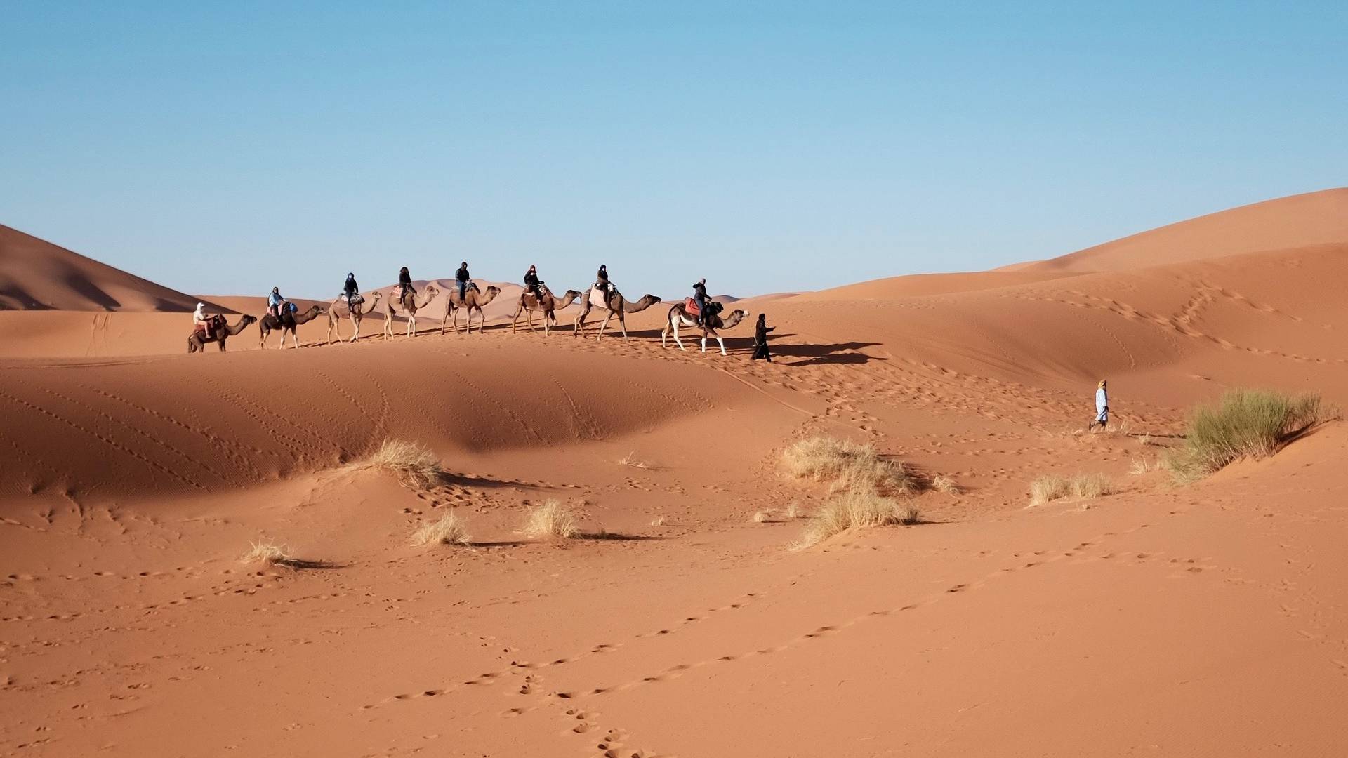 Нигер и Ливия обсудили с соседними странами миграционный кризис
