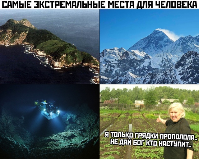 Подборка прикольных картинок 