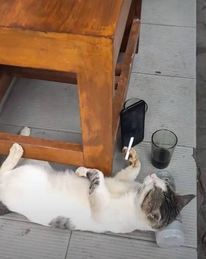 Подборка картинок. Вечерний выпуск  приколы,смешные картинки,юмор