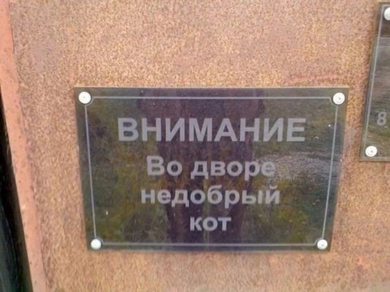 Объявления, которые заставили нас ползать по полу от смеха