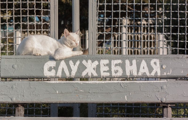 Старение - это когда пересматриваешь старые фильмы, а актеры там все моложе и моложе... анекдоты,веселье,демотиваторы,приколы,смех