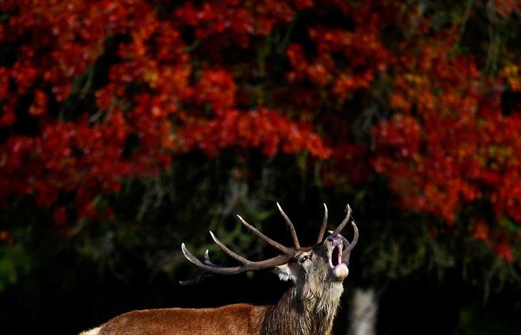 ������� ����� �� �����