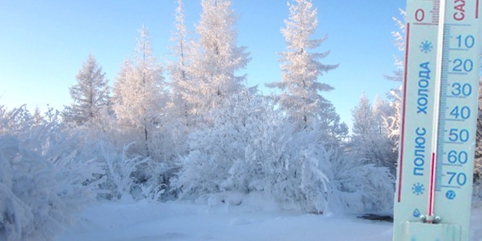 Термометр и снежный лес