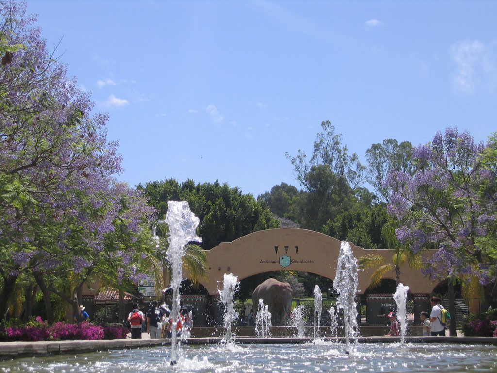 Гвадалахара – город великолепной архитектуры Гвадалахара – город великолепной архитектуры архитектура