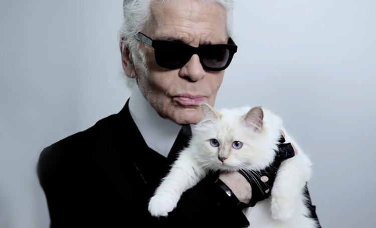 Любимая кошка Карла Лагерфельда Шупетт высказалась по поводу его смерти