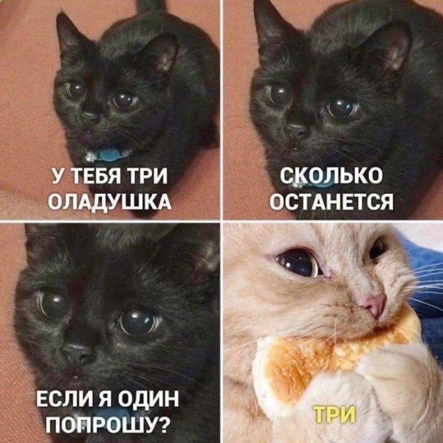 Весёлые картинки для настроения: «Когда спала лицом в подушку»  