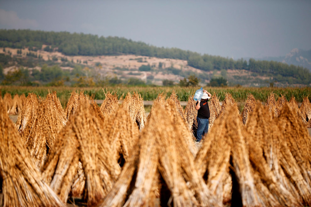 Последние осенние пейзажи 2019 Последние осенние пейзажи 2019 пейзажи,природа,Путешествия,фото