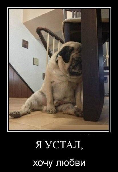 Веселые и забавные демотиваторы на выходные Веселые и забавные демотиваторы на выходные