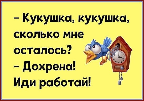 В магазине начальница отчитывает совсем молоденькую продавщицу... весёлые