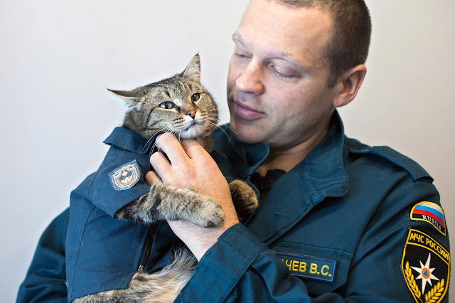 кот семен из пожарной части