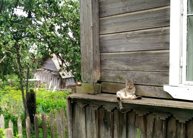 Загородная Россия деревня, заброшенное, забытое, красота, село, эстетика