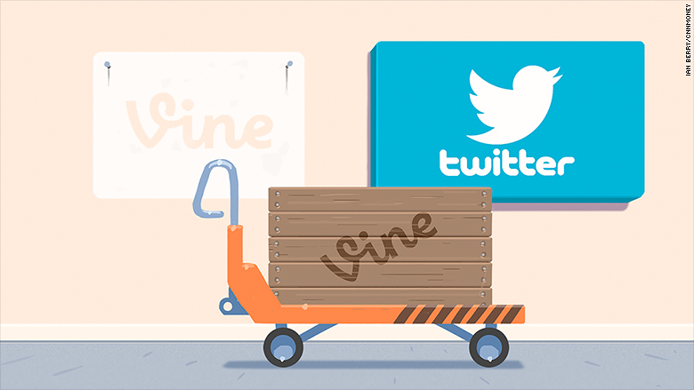 vine