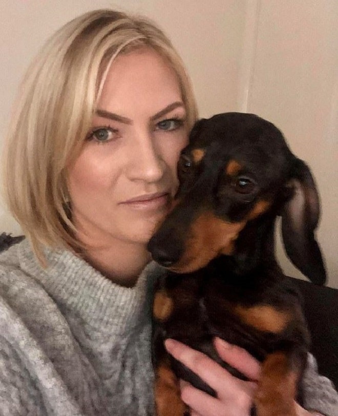 Собака на руках