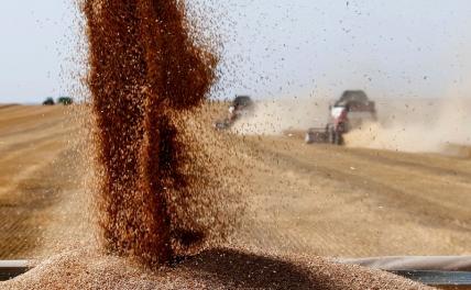 Российское зерно рвется в Иран