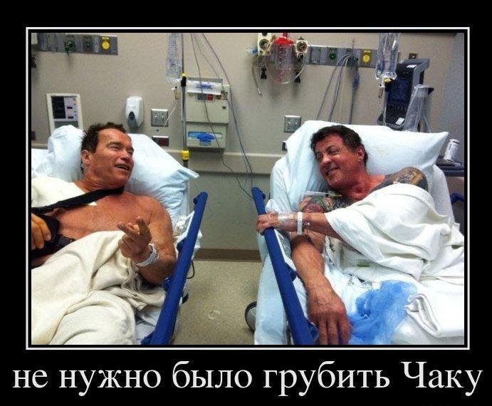 Свежие, веселые и смешные демотиваторы для поднятия настроения Свежие, веселые и смешные демотиваторы для поднятия настроения свежие демотиваторы 2019