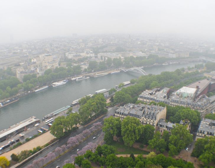 Еда на высоте: ресторан 58 Tour Eiffel — одна из культовых достопримечательностей Парижа еда,из первых уст,Франция