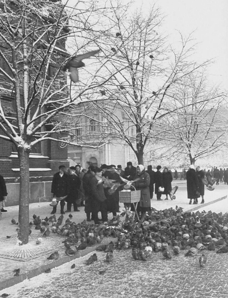 Фотографии зимней Москвы разных лет бульвар, вторая, половина, переулок, площадь, конец, годовЧистопрудный, 1940х, набережная, Националя, пруду, Новодевичьем, годовХоккей, заставы, Тверской, гостиницы, годГазетный, проспект, годЛенинградский, Сухаревский