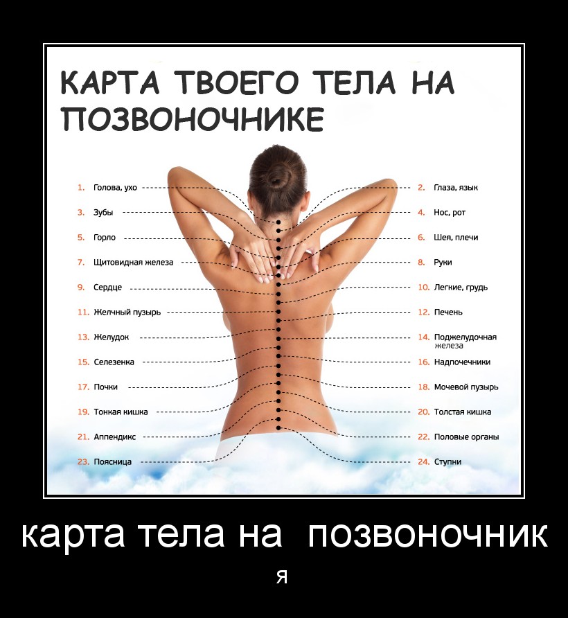 Карта тела женщины