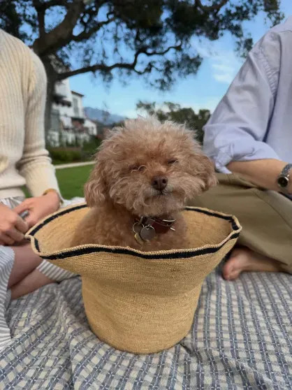 Кэти Перри поделилась новым снимком с возлюбленным Джастином Трюдо Перри, Трюдо, Орландо, Блумом, Джастин, после, ТрюдоКэти, отношения, заметили, когда, появились, фотографиями, соцсетях, поделились, декабре, подтвердили, окружения, Официально, поездки, источники