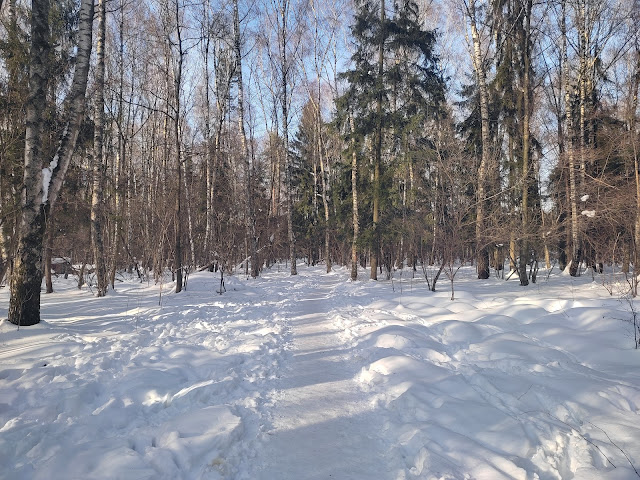 Лосиный остров