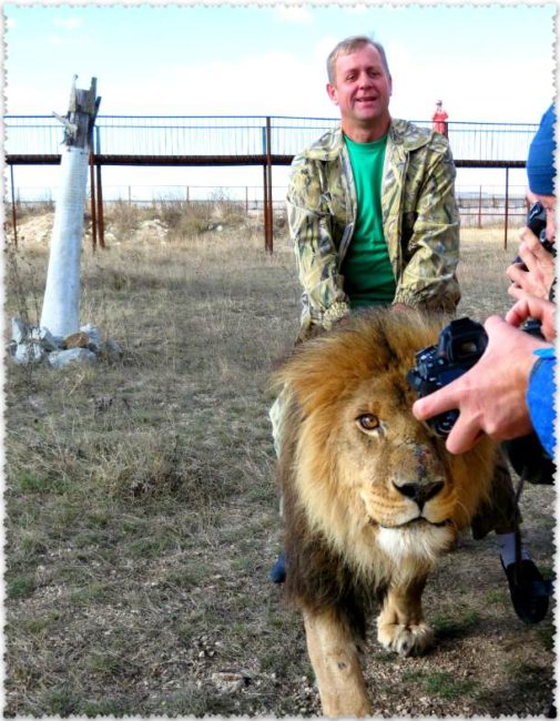 Прогулка со львами в сафари-парке Тайган