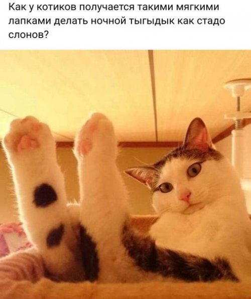 Новая порция фотомемов