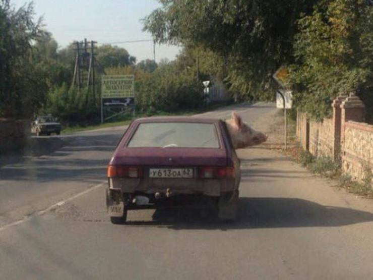 В раю Архимед, Паскаль и Ньютон играют в прятки анекдоты,веселье,демотиваторы,приколы,смех,юмор