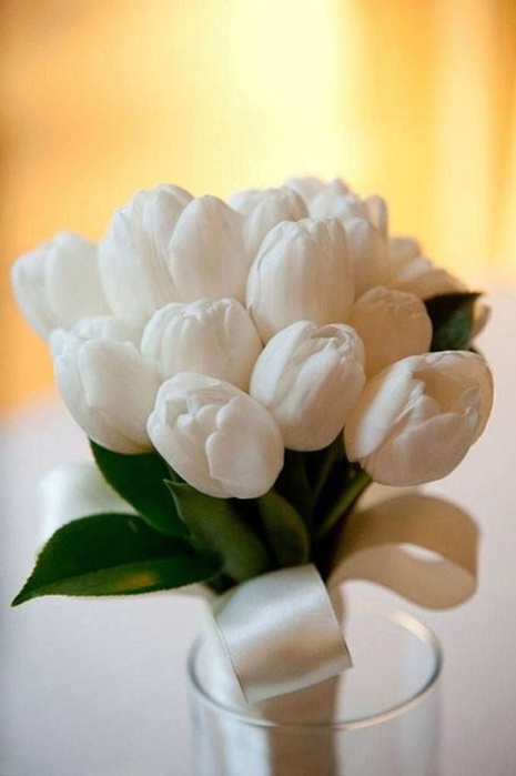 hDcAsR25qB8 (465x700, 228Kb)