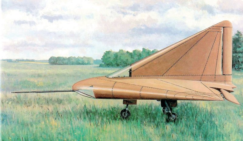    DM-1