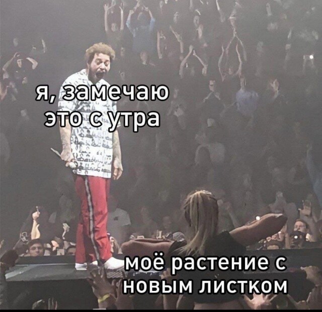 Фото приколы выходного дня 