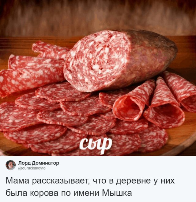 Пользователи соцсетей о необычных кличках домашних питомцев юмор