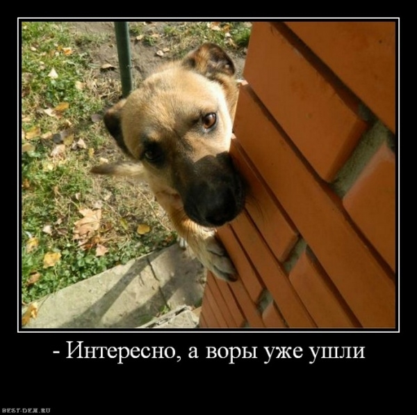 ������� ����� � ����